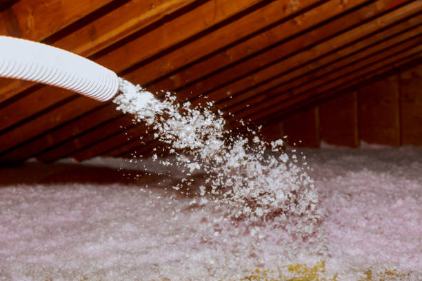 Best Commercial Insulation in Siesta Shores, TX