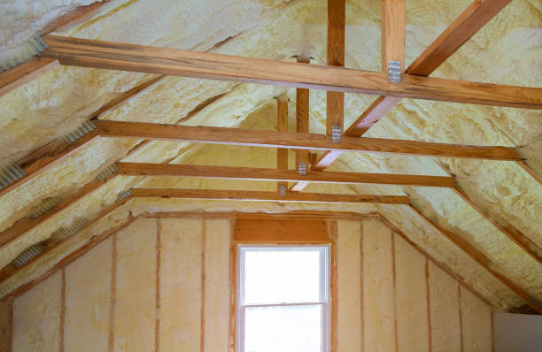 Best Geographic-Specific Insulation Services in Siesta Shores, TX