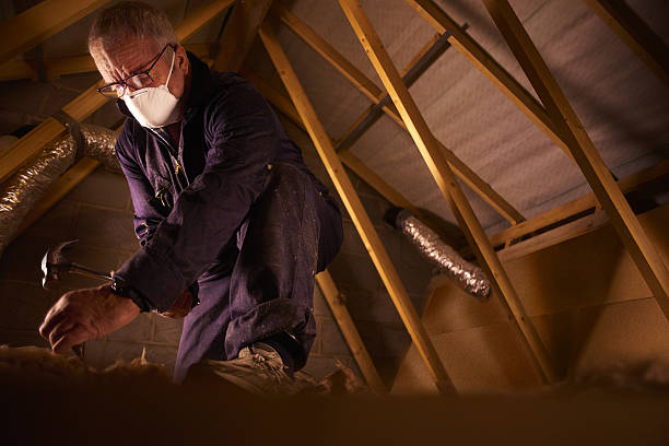 Best Spray Foam Insulation in Siesta Shores, TX